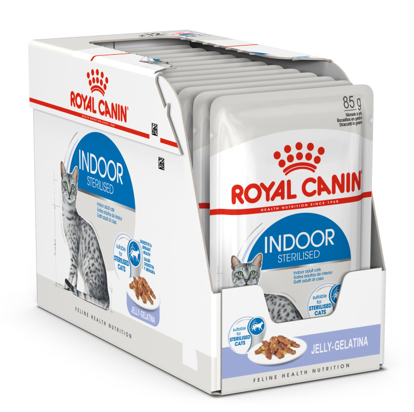 Lunch Onderzoek Katholiek Royal Canin kattenvoer Indoor in Jelly 12 x 85 gr | Van der Bijl Diervoeders