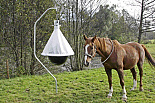 Dazenval TaonX, compleet
