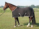 Harry's Horse Jersey cooler 