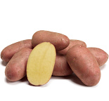 POOTAARDAPPEL BIO  ALOUETTE 1 KILO