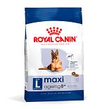 Royal Canin Hond Maxi Ageing 8+ 15 Kg