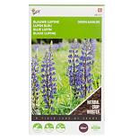 Buzzy® Groenbemester Lupine Blauwe Bittere 100g