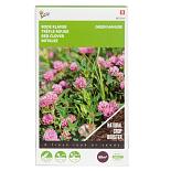 Buzzy® Groenbemester Rode Klaver 150g