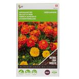 Buzzy® Groenbemester Tagetes Bonita 50g