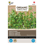 Buzzy® Organic Sprouting Broccolikers (BIO)