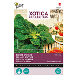 Buzzy® Xotica Turkse Spinazie America