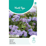 HT Ageratum, Leverbalsem Blue Mink