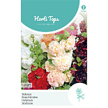 HT Althaea (Alcea) Stokroos Chater's dubbelbloemig gemengd