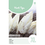 HT Brusselse Witlof Mechelse Middelvroeg