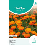 HT Calendula, Goudsbloem Ball's Oranje dubbelbloemig