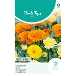 HT Calendula, Goudsbloem Fiesta Gitana gemengd