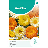 HT Calendula, Goudsbloem Pacific Beauty gemengd