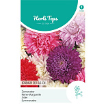 HT Callistephus, Zomeraster Koningin der Hallen gemengd