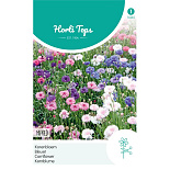 HT Centaurea, Korenbloem gemengd