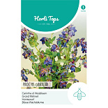 HT Cerinthe, Wasbloem Pride of Gibraltar