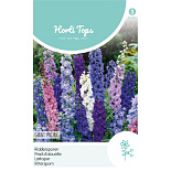 HT Delphinium, Riddersporen Giant Pacific