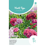 HT Dianthus, Duizendschoon dubbelbloemig gemengd