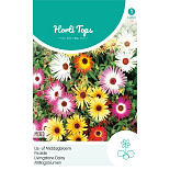 HT Dorotheanthus, IJs- of Middagbloem gemengd