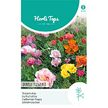 HT Eschscholtzia, Slaapmutsje dubbelbloemig gemengd