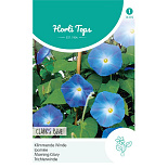 HT Ipomoea, Klimmende Winde Clark's Blue