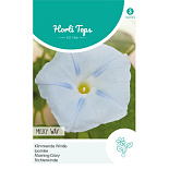 HT Ipomoea, Klimmende Winde Milky Way
