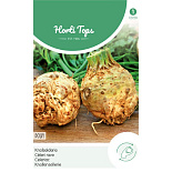 HT Knolselderie Dolvi, Verb. Prager Reuzen