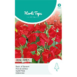 HT Lathyrus, Reuk- of Siererwt Royal Family Rood