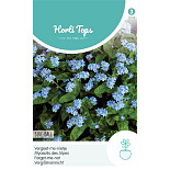 HT Myosotis, Vergeet-me-nietje Blue Ball