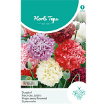 HT Papaver, Slaapbol gemengd