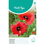 HT Papaver, Tulppapaver