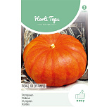 HT Pompoenen Rouge vif d' Etampes