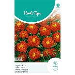 HT Tagetes, lage Afrikaan Carmen