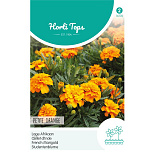 HT Tagetes, lage Afrikaan Petite Orange