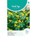 HT Tropaeolum, Kanariekers geel