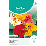 HT Tropaeolum, Oost-Indische Kers Glorious Gleam