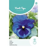 HT Viola, Viool Alpenmeer