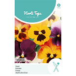 HT Viola, Viool Trimardeau gemengd