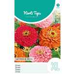 HT Zinnia Californische Reuzen gemengd