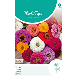 HT Zinnia Liliput gemengd