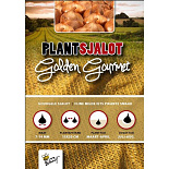 Plantsjalotten Golden Gourmet 250g (16)