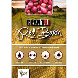 Plantuien Red Baron 250g (18)