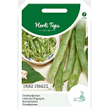 Pronksnijbonen Emergo Stringless, 100g