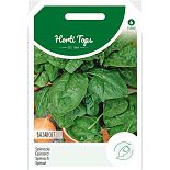 Spinazie Bazaroet, 100g