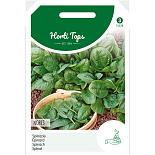 Spinazie Nores, type Viking, 50g