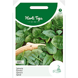 Spinazie Nores, type Viking, rondzadig, 250g