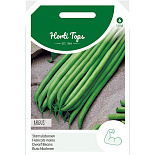Stamslabonen Haricot Vert Argus, 50g