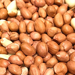 Redskin vogelpinda 25KG