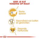 Royal Canin kattenvoer British Shorthair Adult 400 gr