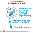 Royal Canin hondenvoer Medium Starter 4 kg