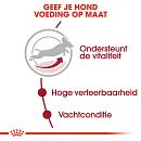 Royal Canin hondenvoer Medium Adult 7+ 15 kg